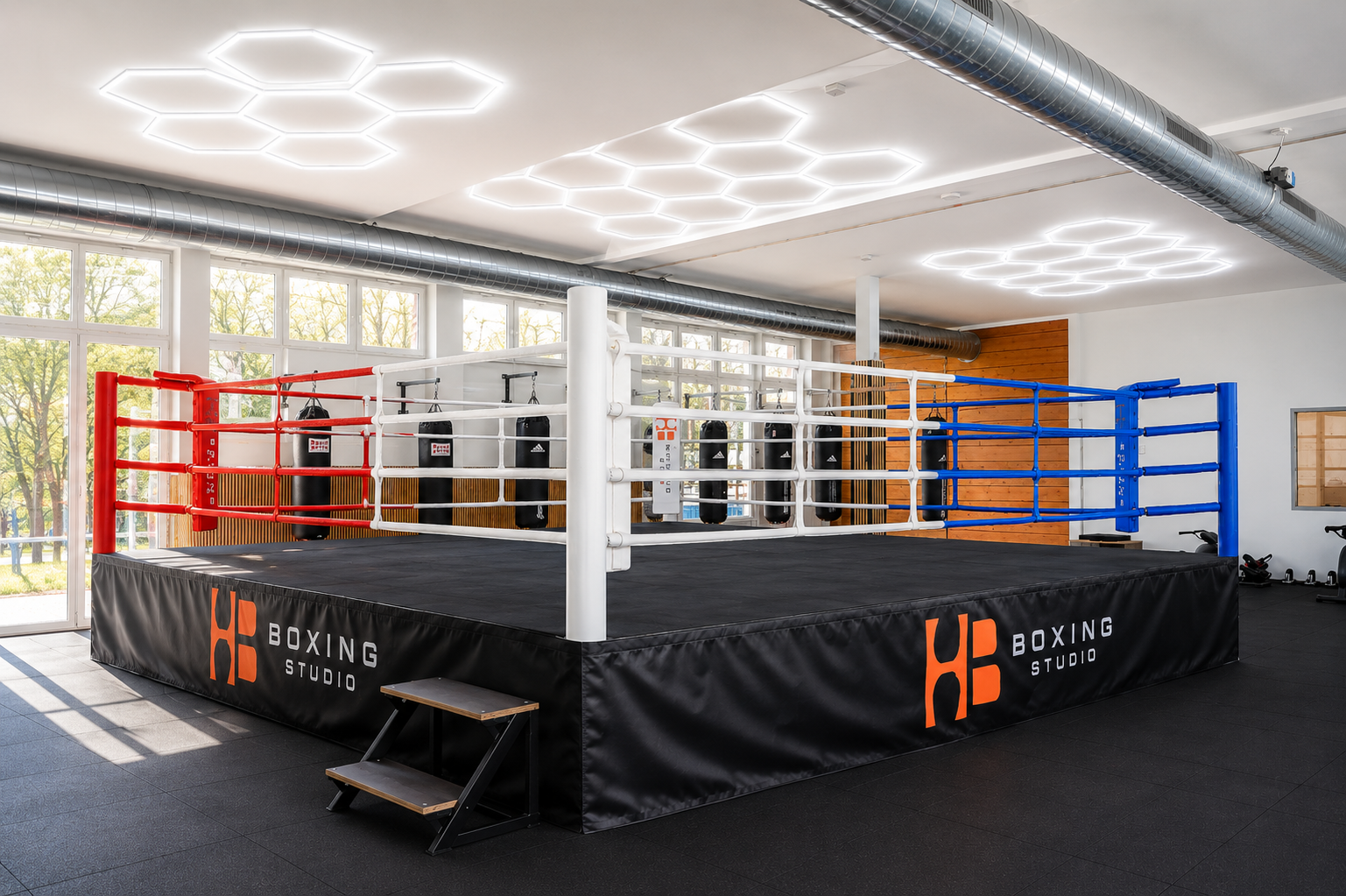 Boxring im HB-Boxing Studio in Hamburg mit Boxsäcken und Tageslicht durch große Fenster.